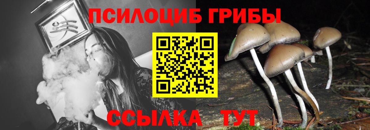 Псилоцибиновые грибы мицелий Муравленко