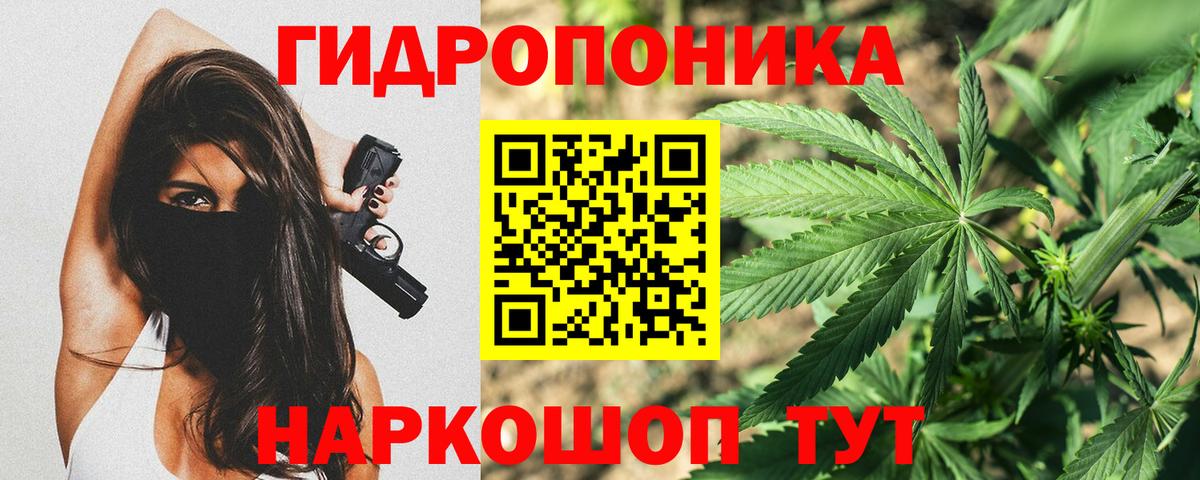 Шишки марихуана гибрид  Шишки марихуана Amnesia  Вход с VPN  Канабис Amnesia  Марихуана Amnesia  Муравленко 
